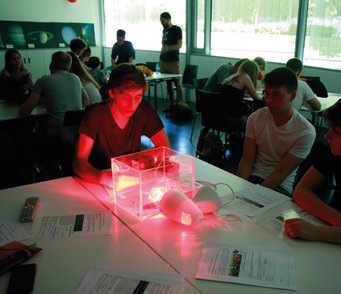 Schülerinnen und Schüler experimentieren mit einer vor ihnen auf dem Tisch aufgebauten Wärmelampe