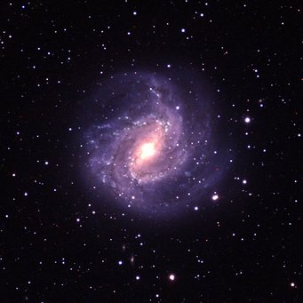 One of the colorful images produced by the participating girls (M83). One of the motifs of the images created by the participants (M83)