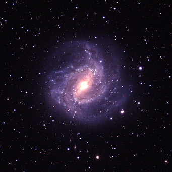 One of the colorful images produced by the participating girls (M83). One of the motifs of the images created by the participants (M83)