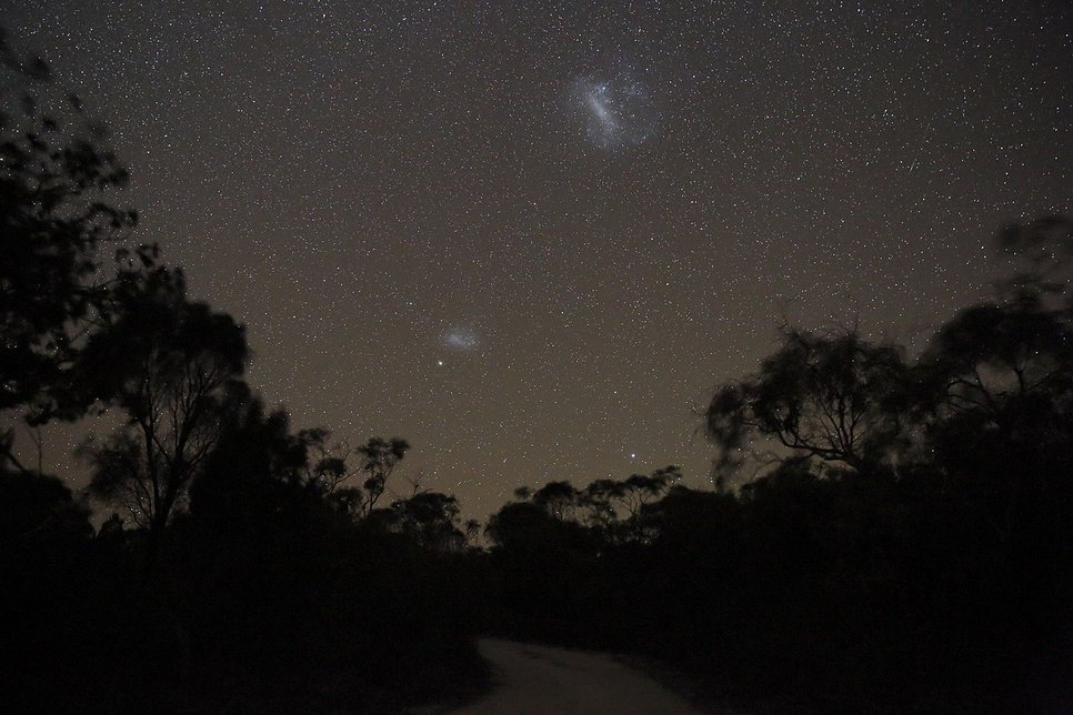 Night sky above the dark silhouettes of trees, between the stars two bluish shimmering clouds of stars, the larger one of the two is above the other