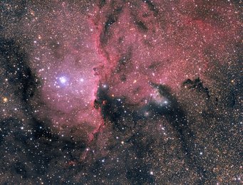 Celestial region with many stars, dark areas and bright gas clouds in pink hues Celestial region with many stars, dark areas and bright gas clouds in pink hues