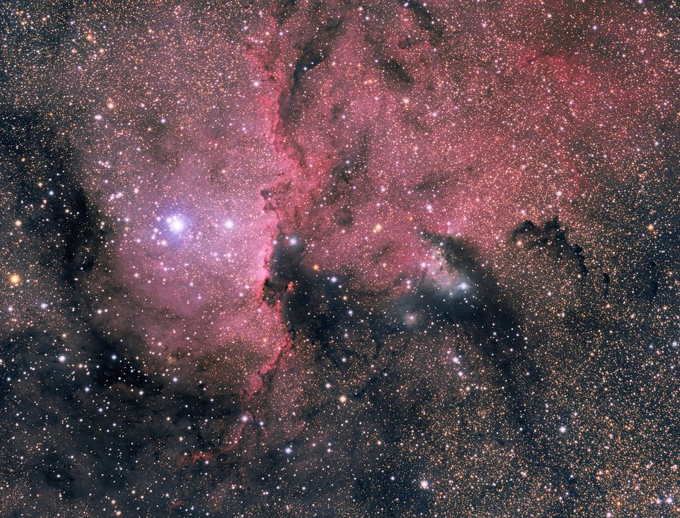 Celestial region with many stars, dark areas and bright gas clouds in pink hues