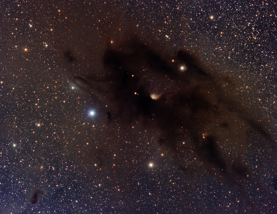 Part of the Taurus molecular cloud: dense dark brown-black cloud wisps against a stellar background