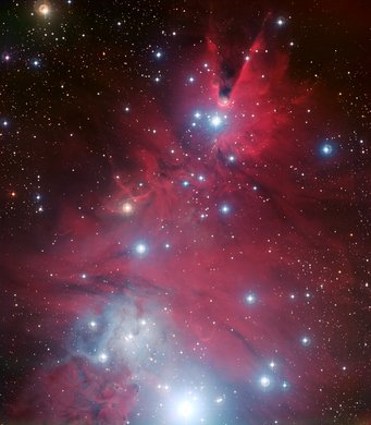 A group of blue stars, arranged in the shape of a fir tree, against the backdrop of an irregular pink cloud of gas. At the top of the tree there is a dark cone A group of blue stars, arranged in the shape of a fir tree, against the backdrop of an irregular pink cloud of gas. At the top of the tree there is a dark cone