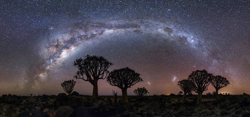 Smartphone image of the Milky Way with the silhouettes of several quiver trees, obtained in Namibia. Milky Way Panorama with the silhouettes of several quiver trees - winner in the smartphone category of the third OAE astrophotograhy contest
